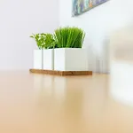Przytulny Apartament Victus Przyjazny Zwierzetom By Noclegi Renters Sopot